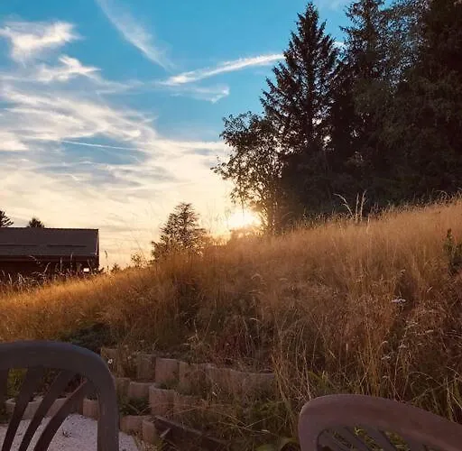 Appart. - Le Rep'air * Gérardmer